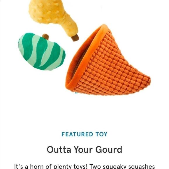 BARK Box Outta Your Gourd and Timmy Turkey toys - Picture 3 of 8